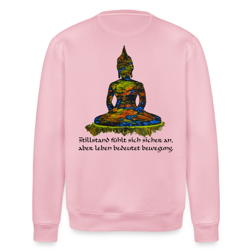 Unisex Bio Pulli Buddha Backprint - Hellrosa